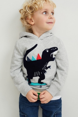 C&A Dinosaur Hoodie Lichtgrijs | YBT-810576