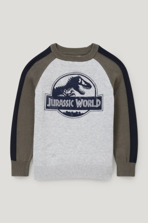 C&A Jurassic World Jumpers Lichtgrijs | XRW-531967