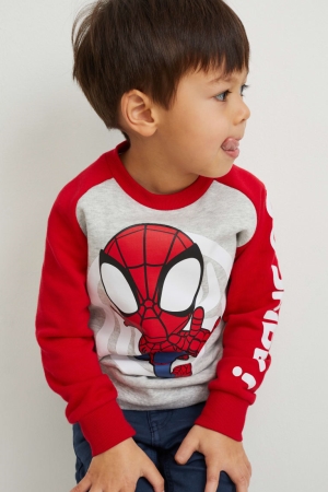C&A Marvel Sweatshirts Lichtgrijs | ZGJ-605941