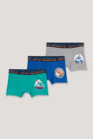 C&A Multipack Of 3 Dinosaur Boxer Organic Katoenen Ondergoed Groen | XOQ-380154