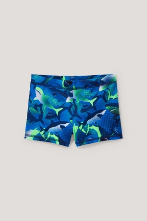 C&A Swim Lycra® Xtra Life™ Zwemkleding Blauw | XYQ-458612